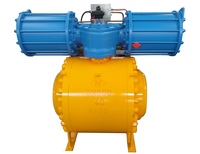 DN500